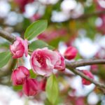 柠檬视频nmav 路线一 4jwsklo4i